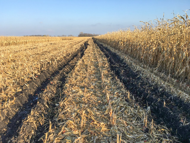 Soil health specialists urge farmers to wait until conditions are fit to resume field work this spring to repair ruts and avoid further compaction issues. (Photo by Jodi DeJong-Hughes, University of Minnesota Extension)